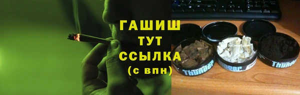 индика Бронницы